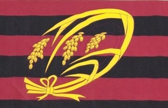 WASEDA RUGBY.jpg